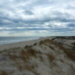 Fire Island Dunes