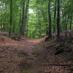 Blue Mountain Reservation