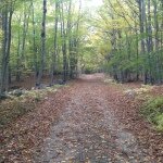 ward_pound_ridge_reservation