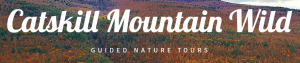 Catskill_Mountain_Wild